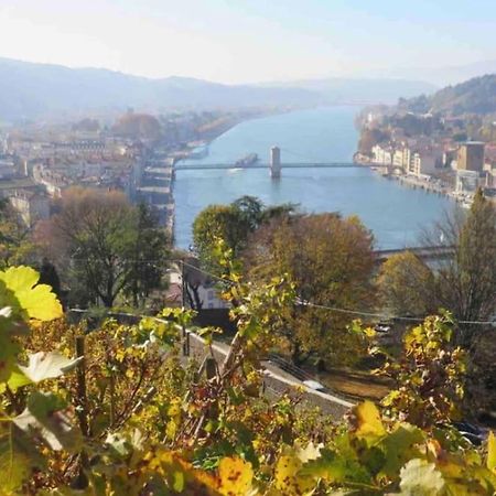 Appartement Vignes Vienne Nord ภายนอก รูปภาพ