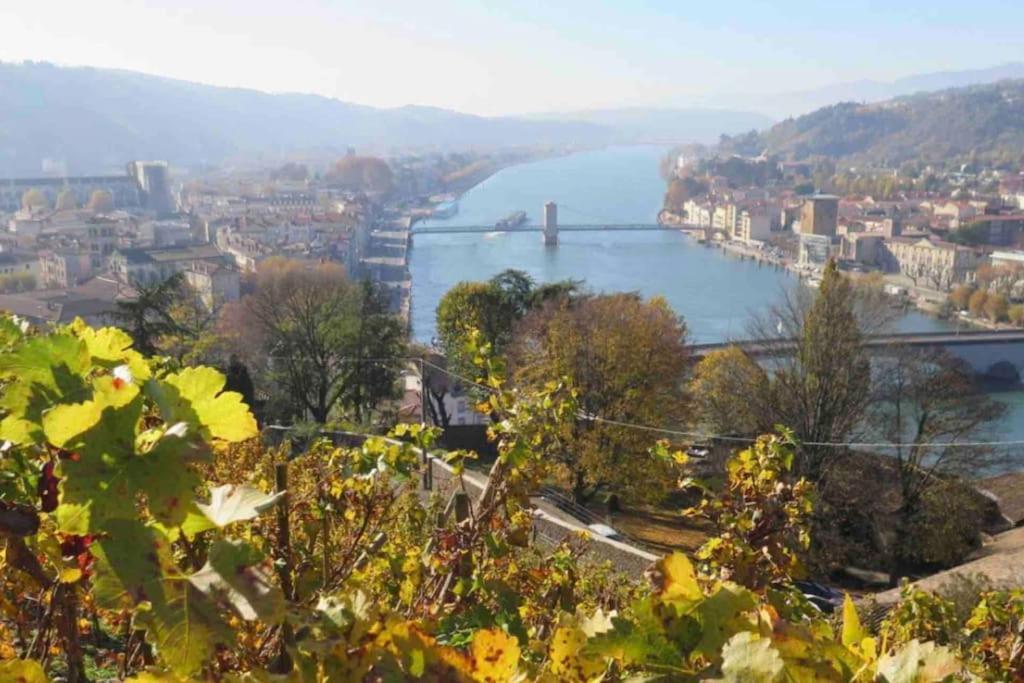 Appartement Vignes Vienne Nord ภายนอก รูปภาพ